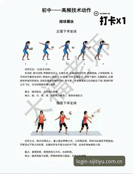 四季体育平台新手入门：3种快速上手方法让你轻松看遍全球赛事